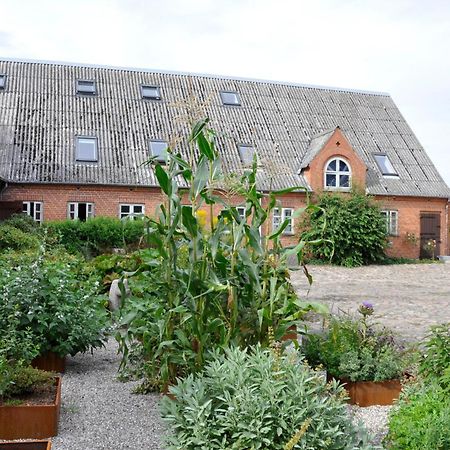 Lundsgaard Bed & Breakfast Fåborg Dış mekan fotoğraf