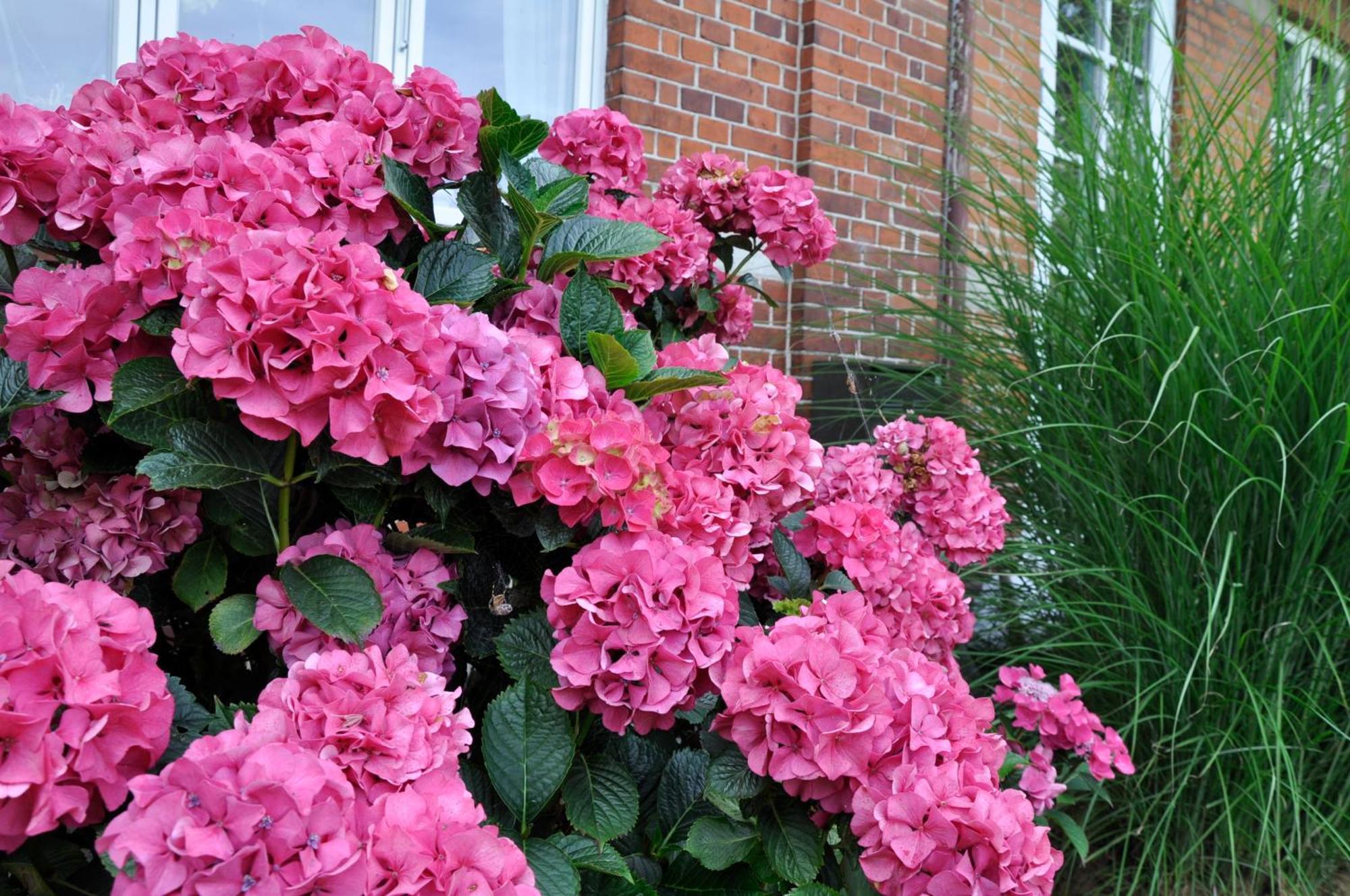 Lundsgaard Bed & Breakfast Fåborg Dış mekan fotoğraf
