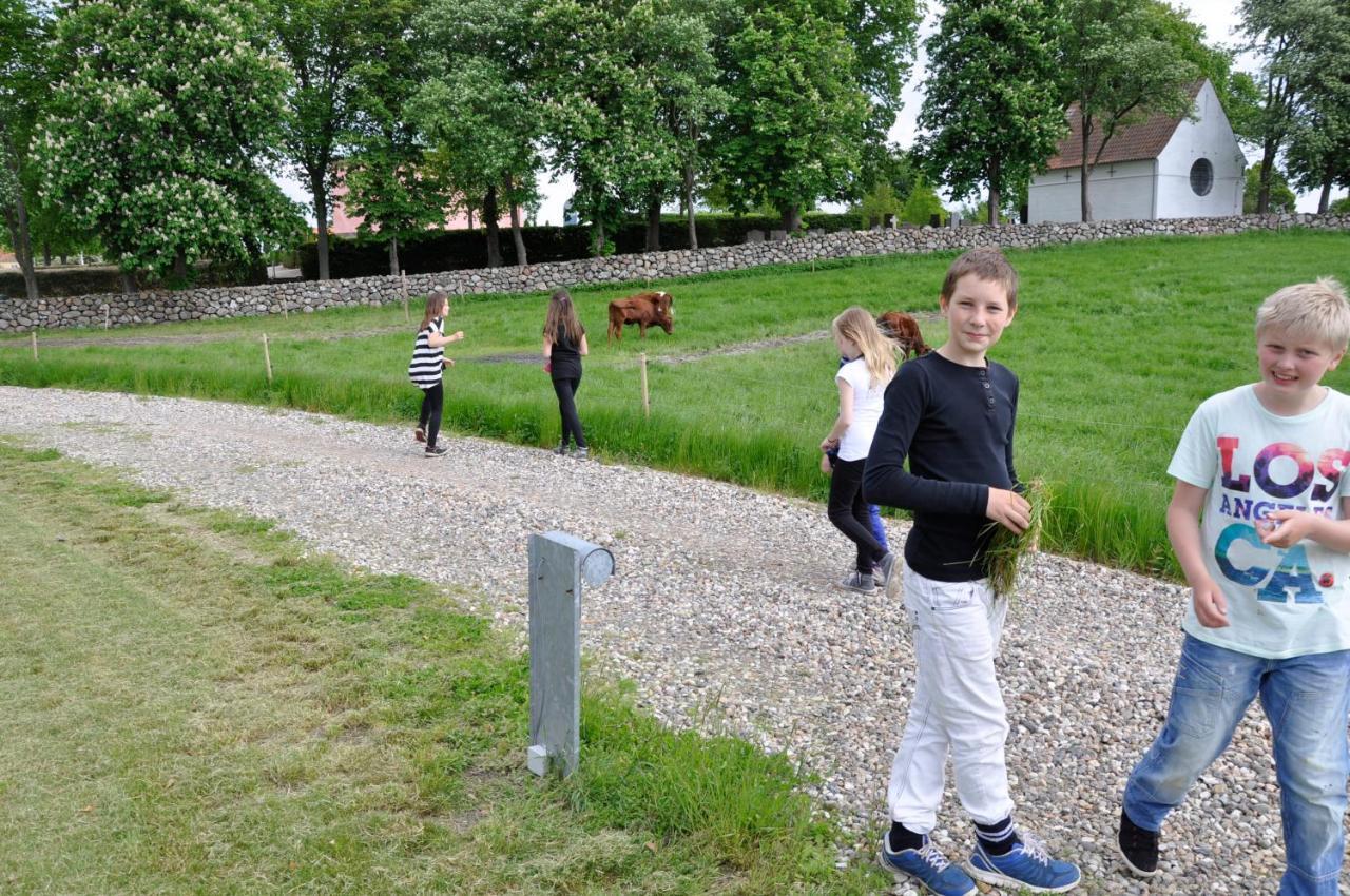 Lundsgaard Bed & Breakfast Fåborg Dış mekan fotoğraf