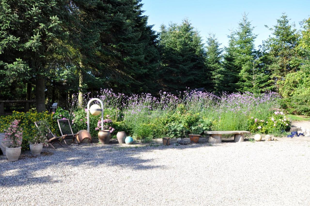 Lundsgaard Bed & Breakfast Fåborg Dış mekan fotoğraf